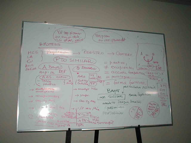 P1010026 copia (2)